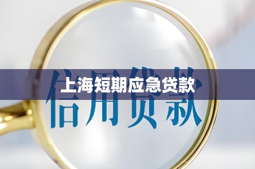 上海短期应急贷款