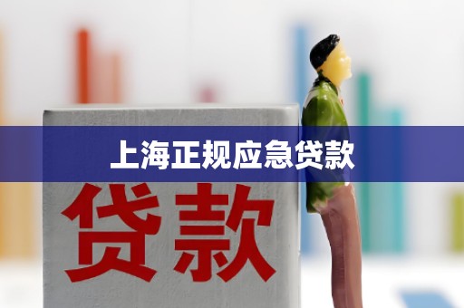 上海正规应急贷款