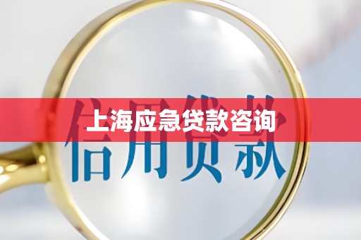 上海应急贷款咨询