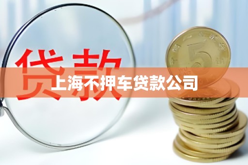 上海不押车贷款公司