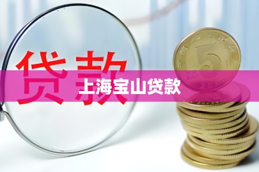 上海宝山贷款