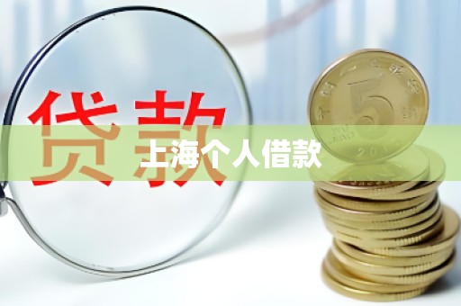 上海个人借款