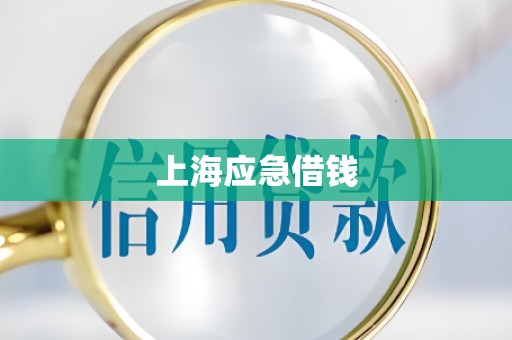 上海应急借钱