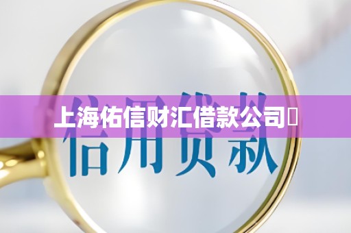 上海佑信财汇借款公司 上海佑信财汇借款公司