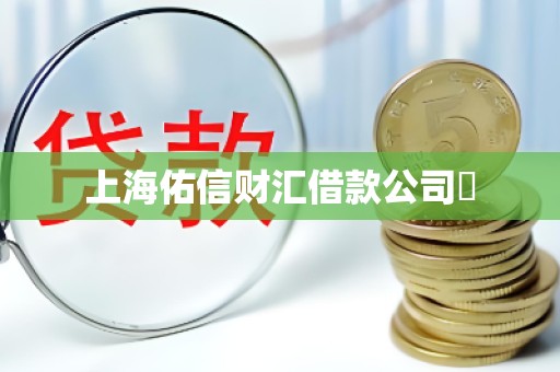 上海佑信财汇借款公司​