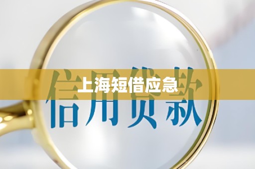上海短借应急 上海短借应急