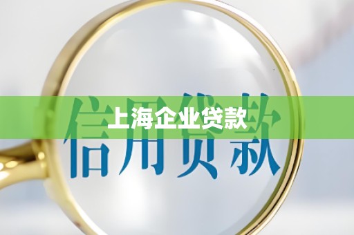 上海企业贷款 上海企业贷款