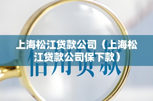 上海松江贷款公司（上海松江贷款公司保下款）