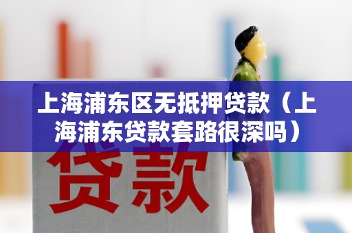 上海浦东区无抵押贷款（上海浦东贷款套路很深吗）