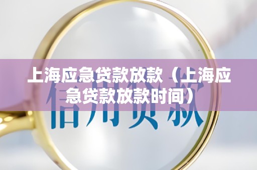 上海应急贷款放款（上海应急贷款放款时间）