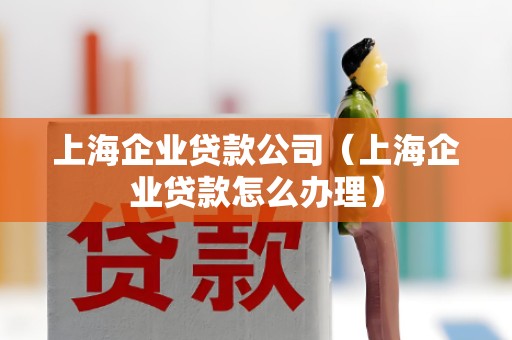 上海企业贷款公司（上海企业贷款怎么办理）