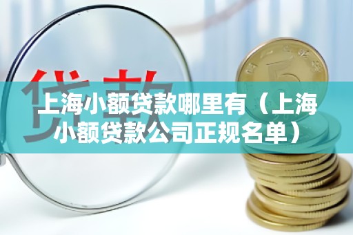 上海小额贷款哪里有（上海小额贷款公司正规名单）
