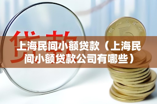 上海民间小额贷款（上海民间小额贷款公司有哪些）